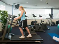 Ibis Auckland Ellerslie Hotels near ASB Showgrounds