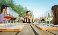 Eumelia Organic Agrotourism Farm & Guesthouse
