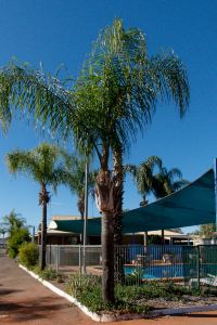 カルグーリー ボルダー ホテルを宿泊予約 22年の人気10選 Trip Com