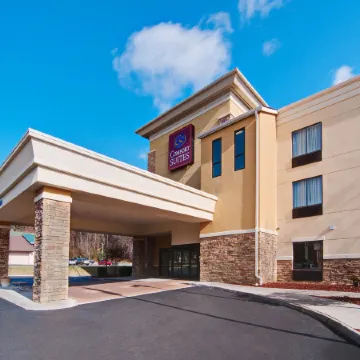 Comfort Suites Salem-Roanoke I-81 Отели в г. Сейлем