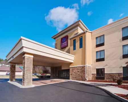 Comfort Suites Salem-Roanoke I-81 Отели рядом с достопримечательностью «Парк Риверсайд»