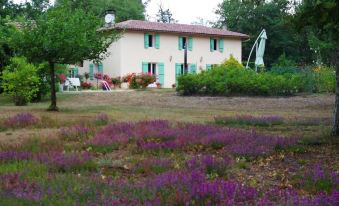 Chambres d'hôtes la Téoulère