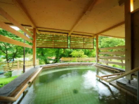 Hanamaki Ryokan Airinkan Hotels in Hanamaki