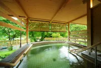 Hanamaki Ryokan Airinkan Hotels in Hanamaki