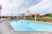Comfort Inn Lenoir City-Knoxville Hotels in Lenoir City