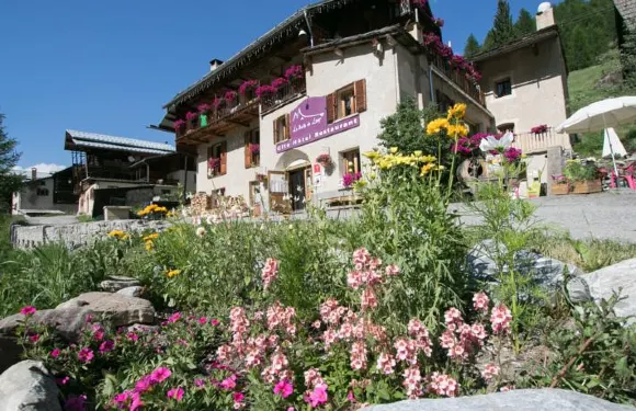 萊達都盧普酒店