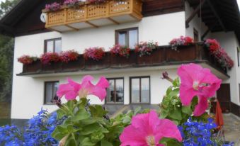 Ferienwohnungen Lichtenegger - Housity