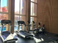 Clarion Inn Sheffield Muscle Shoals - Gym