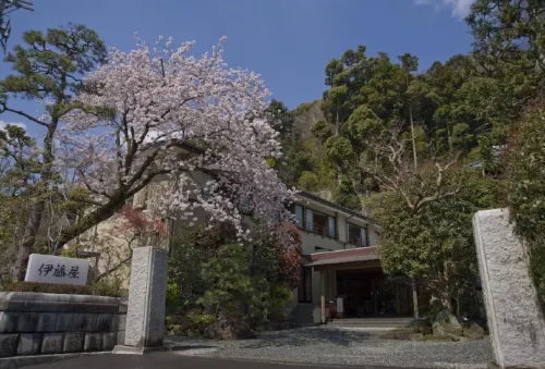 Itoya Ryokan - spa