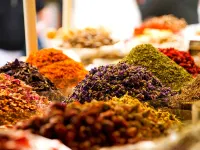 هيلتون دبي مدينة الحبتور