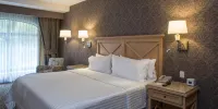 Holiday Inn Queretaro-Centro Historico Hotels in San Juan del Llanito