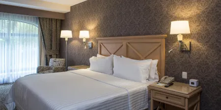 Holiday Inn Queretaro-Centro Historico