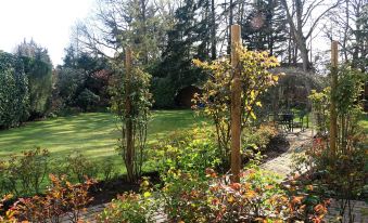 Dawyk Beech Guesthouse