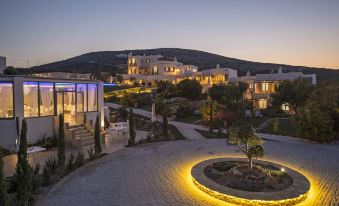 Naoussa Hills Boutique Resort- Adults Only (13+)