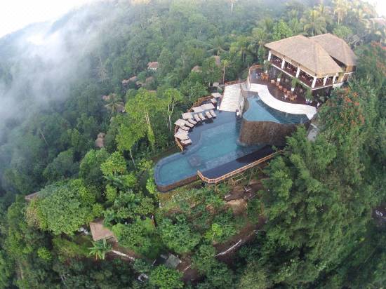 Home Gardening Hanging Gardens Of Bali Price Tips