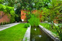 Finca Adalgisa Hotels in 