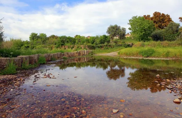 卡德瑞拉5號農家樂