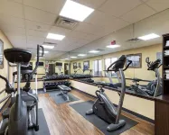 Comfort Suites Lake Jackson Clute - Gym