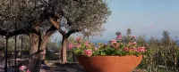 Hotel Ideal Hôtels à : Sirmione