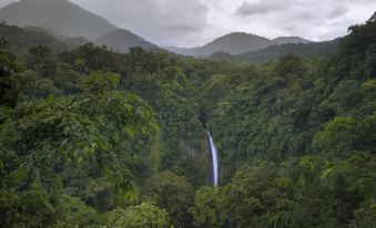 a lush green forest with a waterfall cascading down the mountains , under a cloudy sky at La Tigra Rainforest Lodge