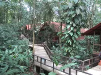 Rana Roja Lodge
