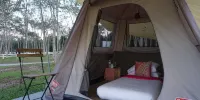 Singha Park Chiang Rai Camping - 趋势2D1N