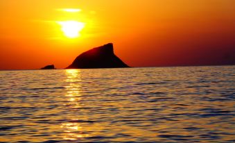 Niki Studios Sea - Front