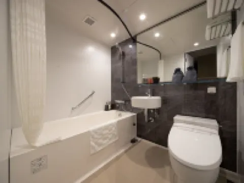 Hotel Resol Kyoto Kawaramachi Sanjo Hotels in Kyoto