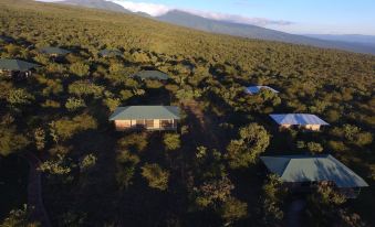 Ngorongoro Wild Camps