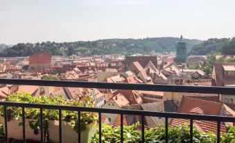 Apartment with 2 Bedrooms in Meißen, with Wonderful City View and Wifi