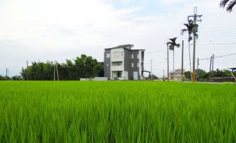 Jhu Ji Hostel