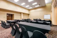 Quality Inn & Suites Tarpon Springs South - spa