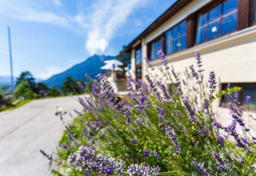 란트호텔 운트 베르가스트호프 파노라마