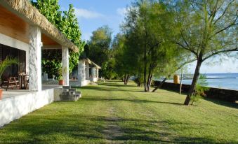 a grassy field with trees and a body of water in the background , creating a serene atmosphere at Mangaia Villas