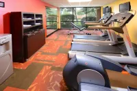 Best Western Plus Fort Worth North - Gym