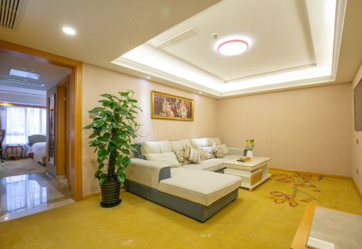 비엔나 인터내셔널 호텔 (상하이 신국제엑스포센터) 썸네일