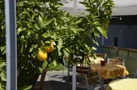 Hotel Kronprinz - Michael Proebsting Hotels in Bad Salzdetfurth