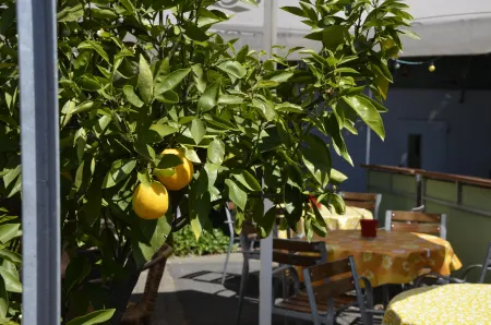 Hotel Kronprinz Отели в г. Альмштедт