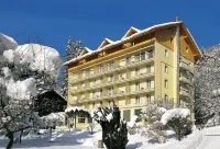 Wengener Hof Hotel - 4 tähden