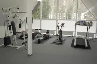 Wellness Hotel Harrachovka - gimnasio