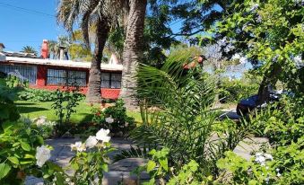 Puerto las Palmas