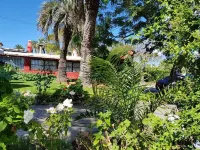 Puerto las Palmas Hotels in 