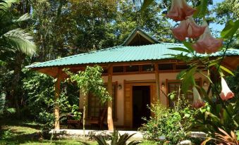 El Nido Jungle Lodge - Housity