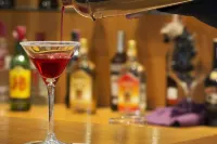 Hotel Black Tulip - Porto Gaia - Baarit