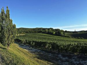 Tenuta "La Meirana"