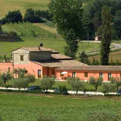 Agriturismo Casale le Selvette Hotel Exterior