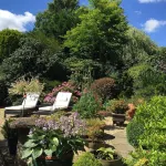 Beechwood B and B Hotels in 