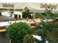 Hotel-Restaurant Roter Ochsen Hotels in Waldhausen