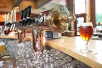 Hotel Brasserie Beierhaascht Hotels in Wickringen