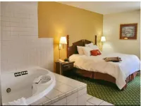 希爾頓歡朋飯店-迪凱特